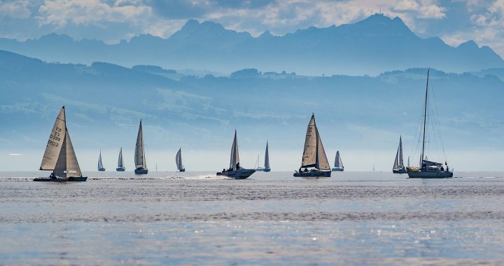 Sailboats, regatta, lake constance — Celebrating Sports Cards: North Carolina's Annual Show