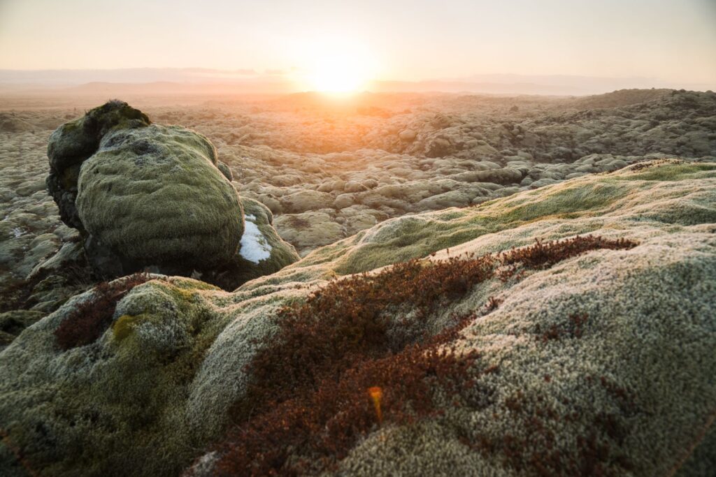 early life on Earth