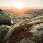 early life on Earth