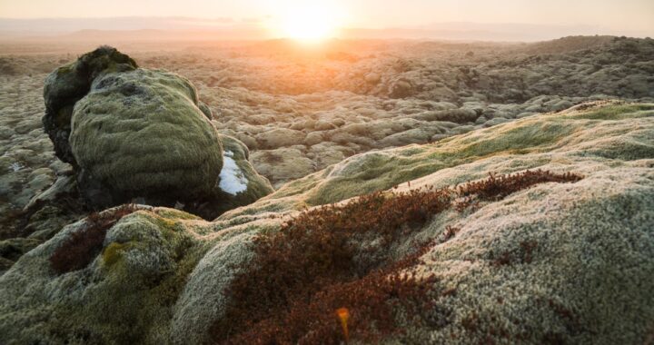 early life on Earth