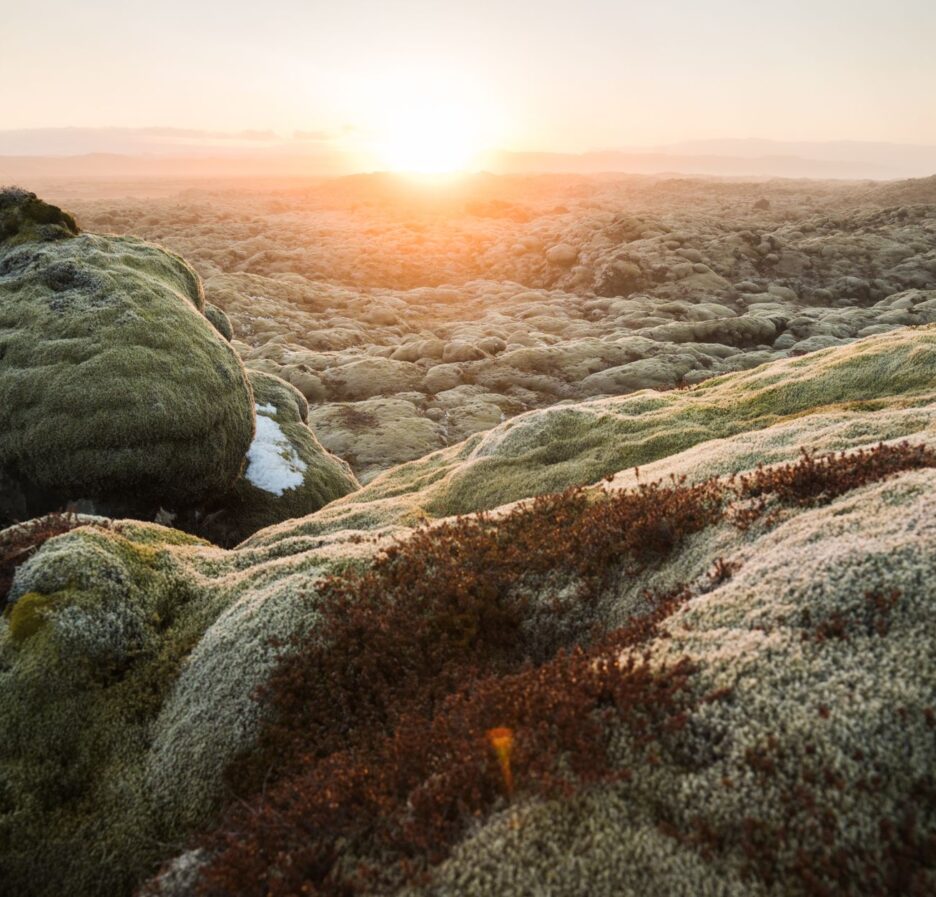 early life on Earth